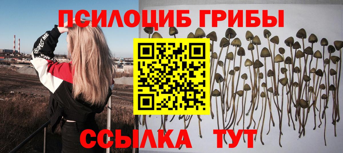 Псилоцибиновые грибы мухоморы Кизляр
