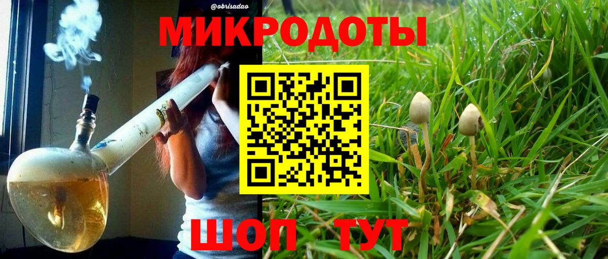Галлюциногенные грибы Psilocybe  Вход с VPN  Кизляр 